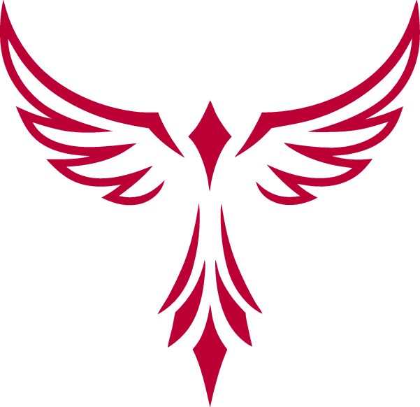 NEW FIREBIRD UNIVERSE NOVEL